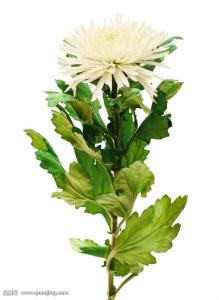 Сѧʱż ׶԰Ԫʱͣ԰